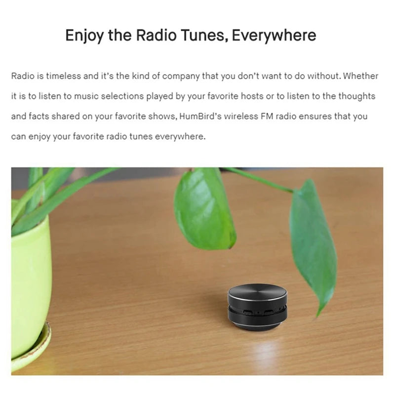 Mini Portable Stereo Speaker