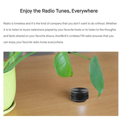 Mini Portable Stereo Speaker